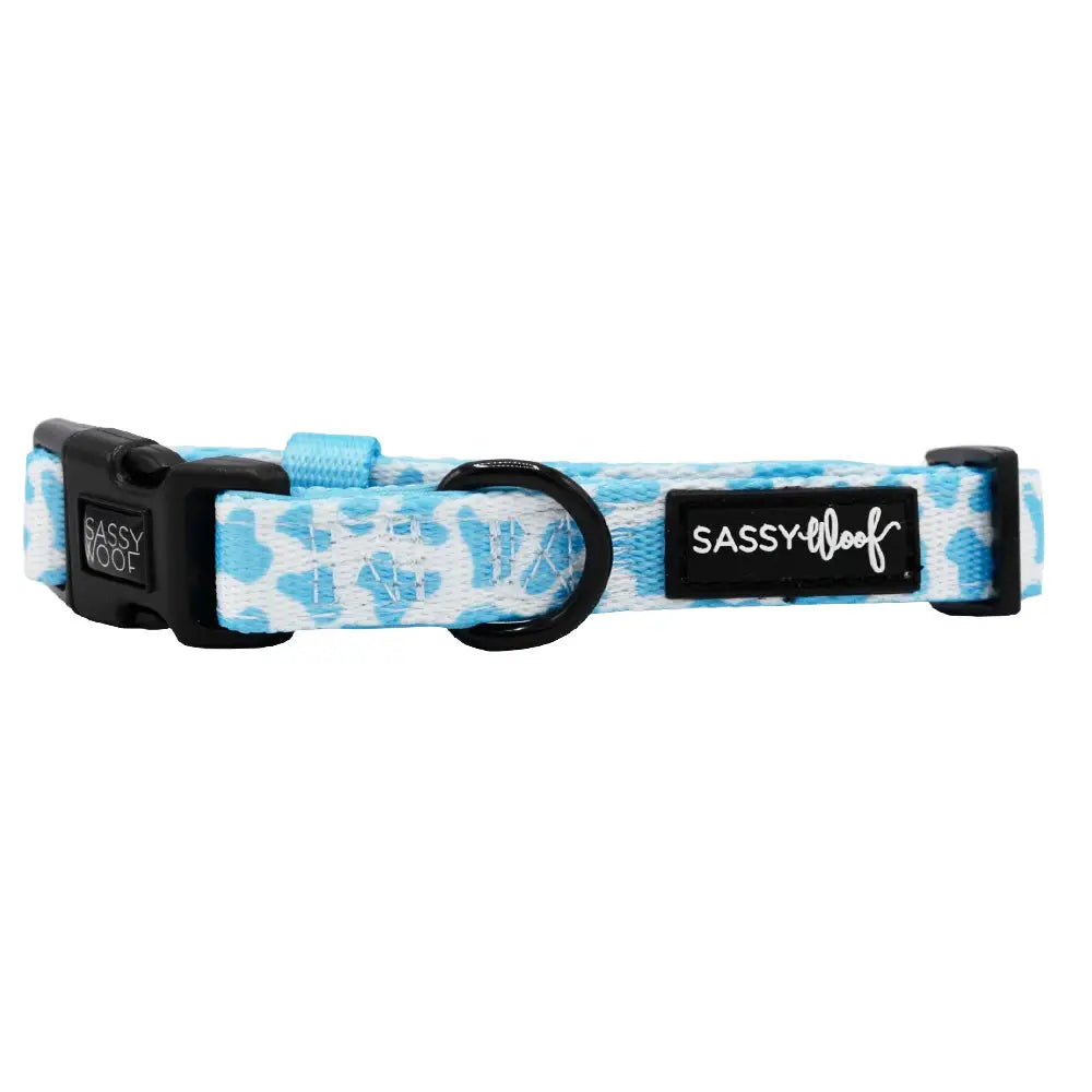 Fresh Blueberry Flavored Dog Collar with Milk Scent - Comfortable Adjustable Pet Collar for Small & Medium Dogs - Perfect for Walks, Training & Outdoor Adventures