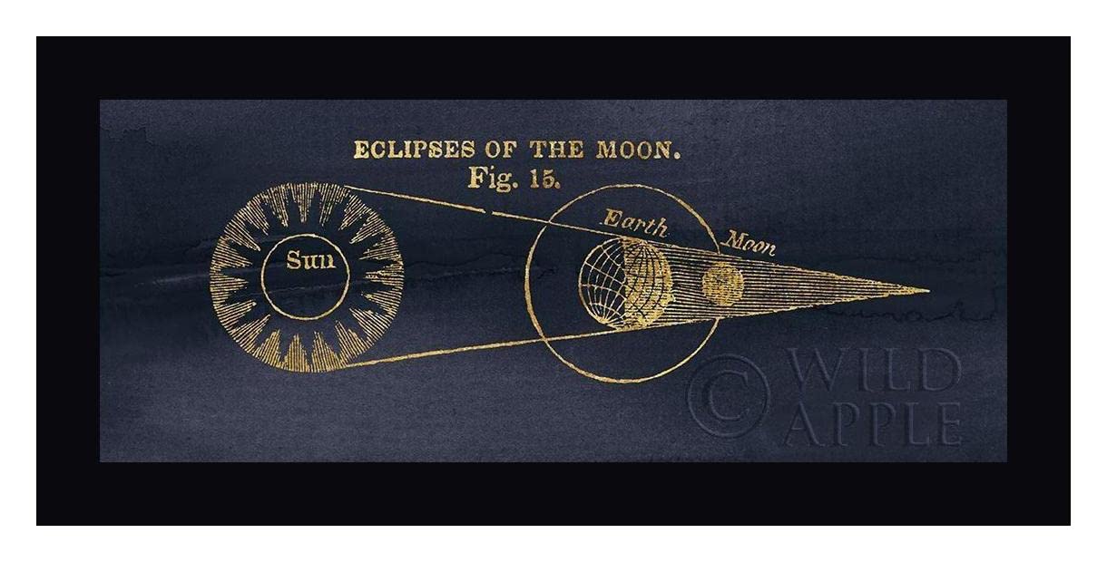 Geography of the Heavens IV Blue Gold Framed Canvas Art Print - 15x30 Inch Wall Decor - Black Frame Ready to Hang - Perfect for Living Room, Bedroom & Office Decor