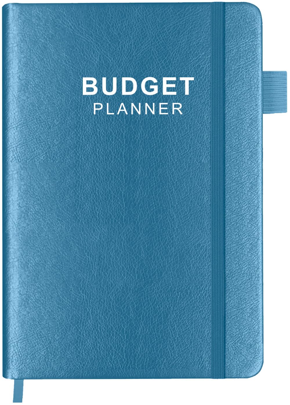 2024-2025 Budget Planner - Undated Monthly Expense Tracker Notebook | 12-Month Financial Organizer for Personal & Business Finance | 5.8