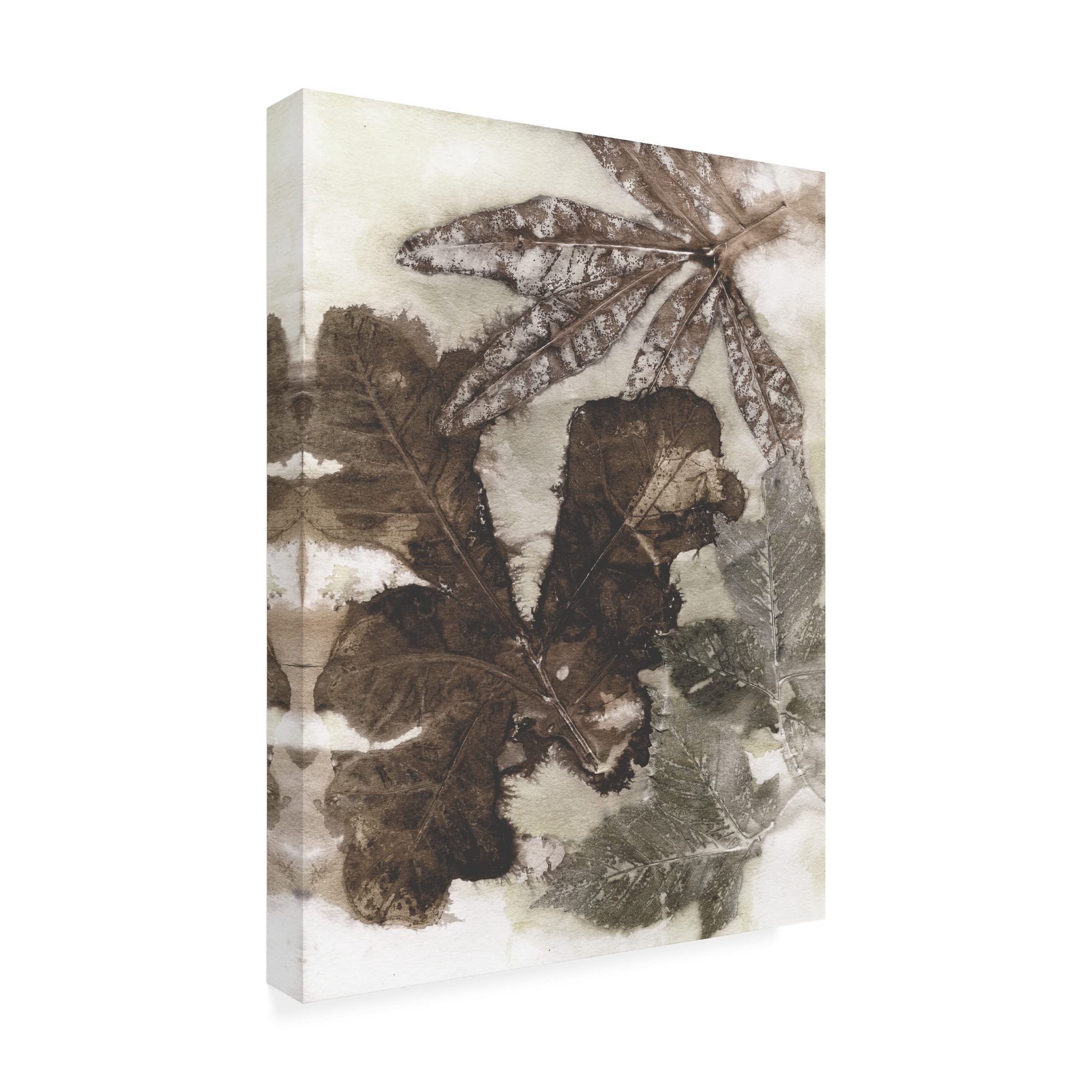 Trademark Fine Art 'Oak Leaves' Canvas Wall Art by Kathryn Phillips - 35x47 Inches, Nature-Inspired Home Decor for Living Room, Bedroom & Office