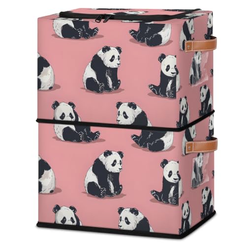 Cute Animal Panda