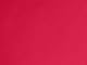 Tulip Red
