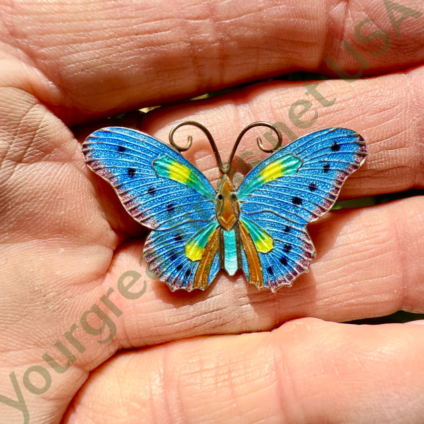 Vintage Gold Washed Guilloched Enamel Butterfly Brooch Pin - S925 Sterling Silver Jewelry for Women - Perfect for Weddings, Parties & Gift Giving