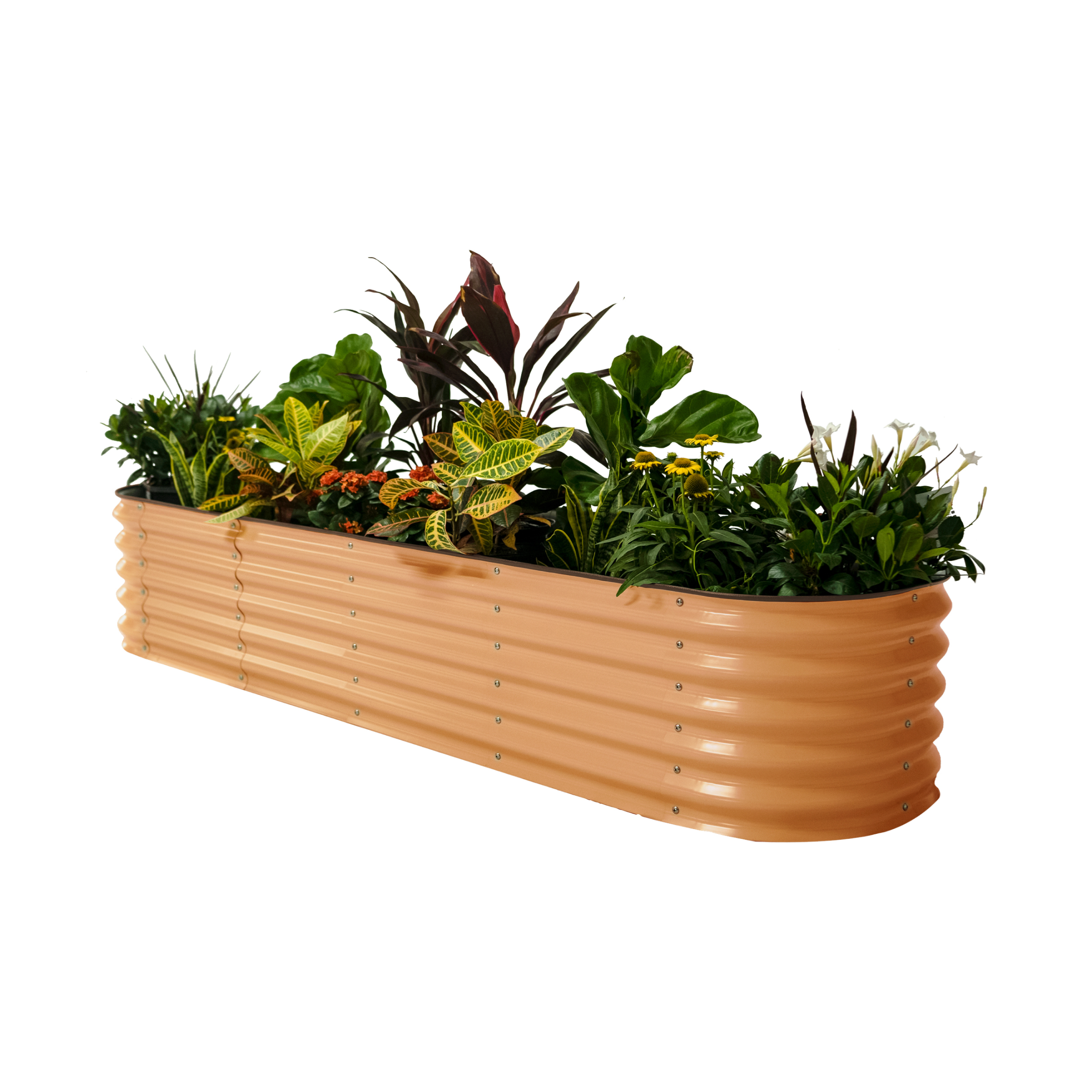 Terra Cotta