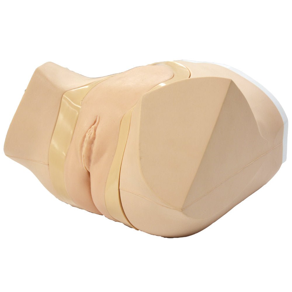 Female Catheterization & Enema Training Simulator - Medical Practice Model for Nursing Students & Healthcare Professionals - Perfect for Clinical Skills Training & Patient Care Education