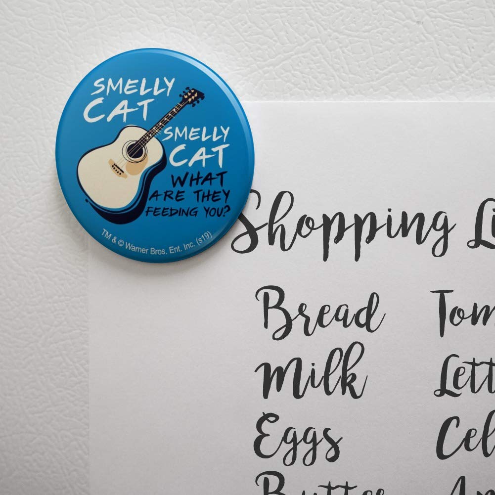 Friends TV Show Smelly Cat Song Kitchen Fridge Magnet - Funny Refrigerator Decorative Button for Fans - Perfect for Home, Office, or Gifts