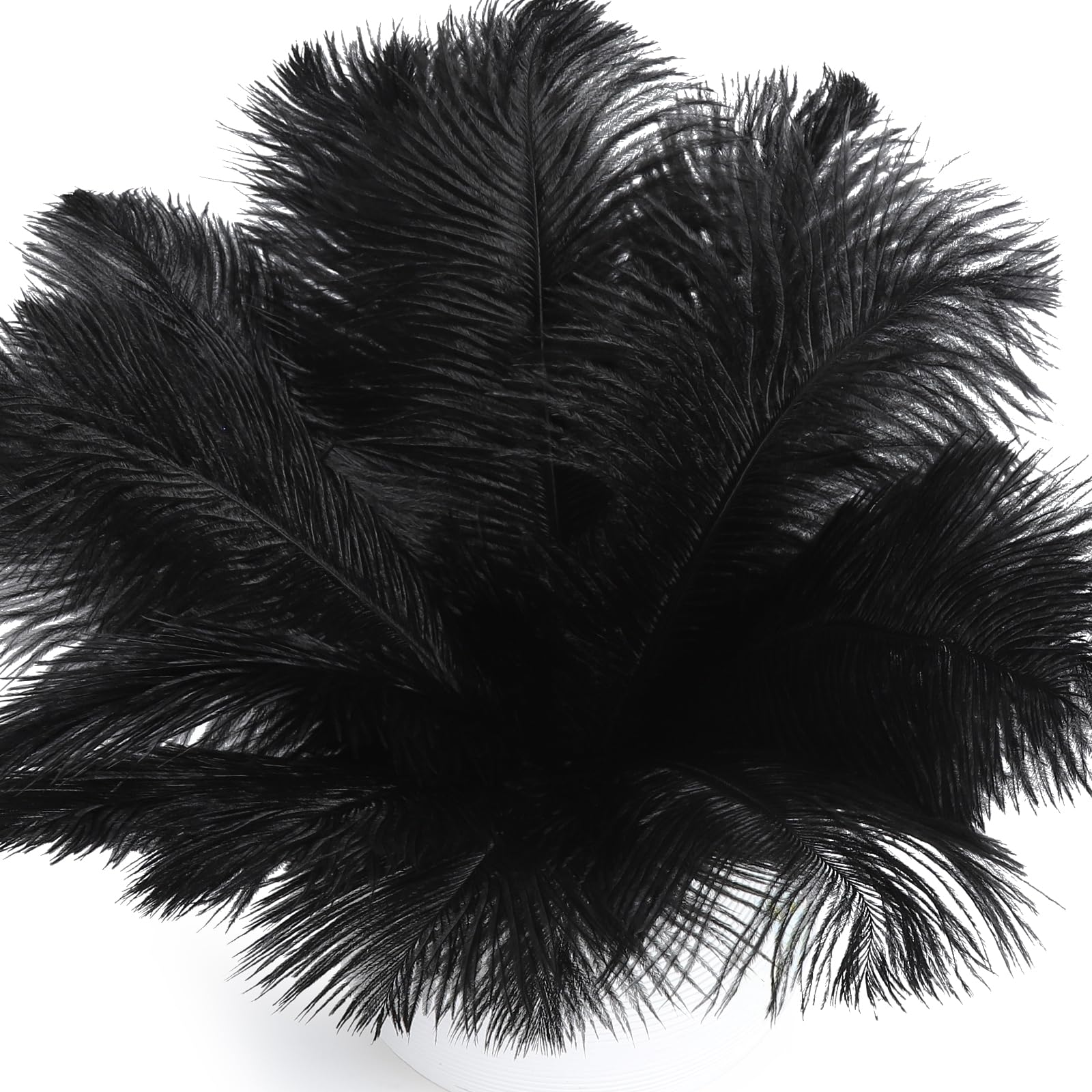 FANDAMEI 20 Pcs Black Ostrich Feathers for DIY Crafts - 8-10 Inch (20-25cm) Long Decorative Feathers - Perfect for Centerpieces, Wedding Decor, Home Decor, and Party Decorations - Elegant Black Feathers for Tables, Vases, and Event Styling