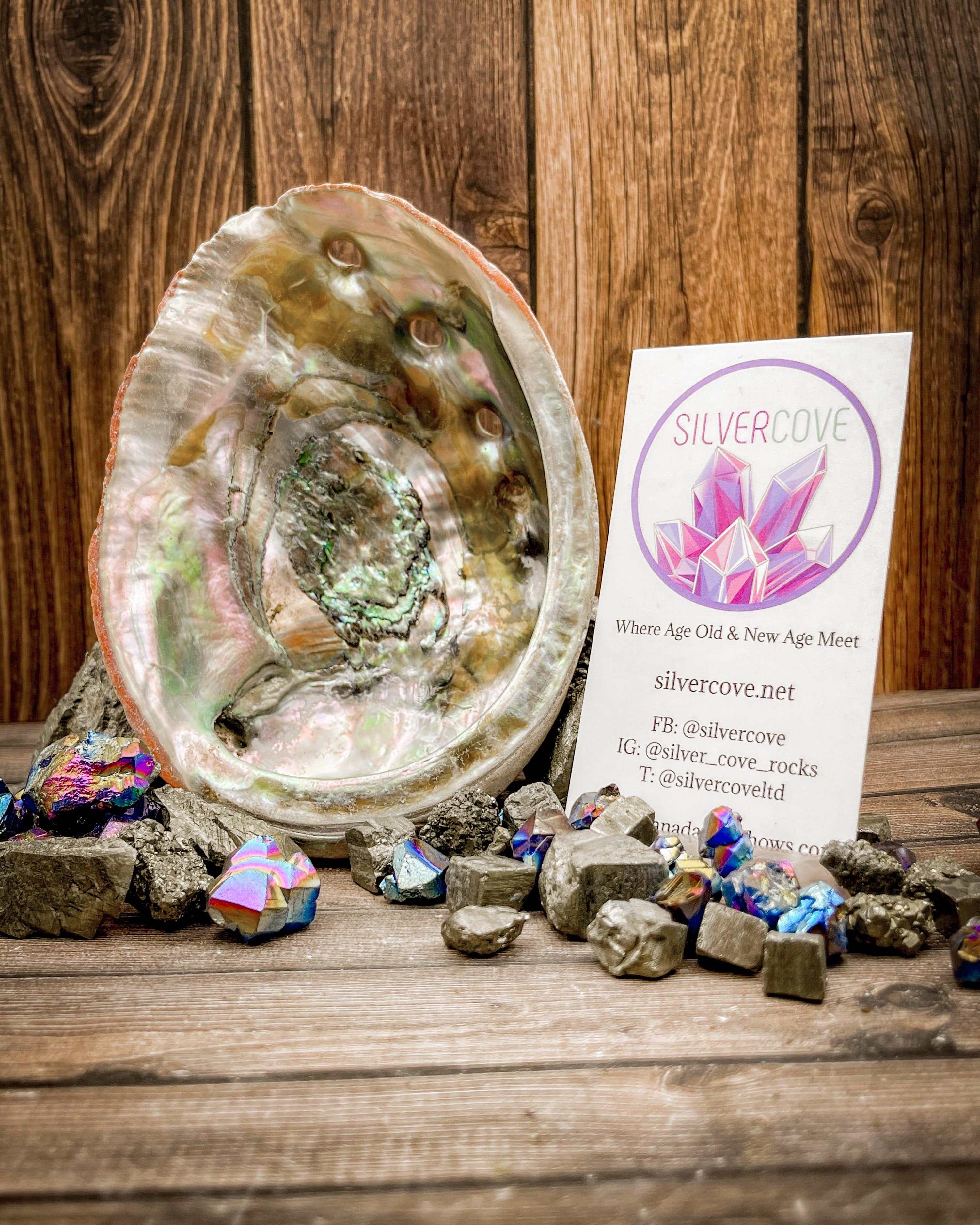 Natural Cleaned Abalone Shells for Jewelry Making, Home Decor, and Crafts – Single Piece – Sustainable Sourcing – Perfect for DIY Projects and Beach-Themed Decor