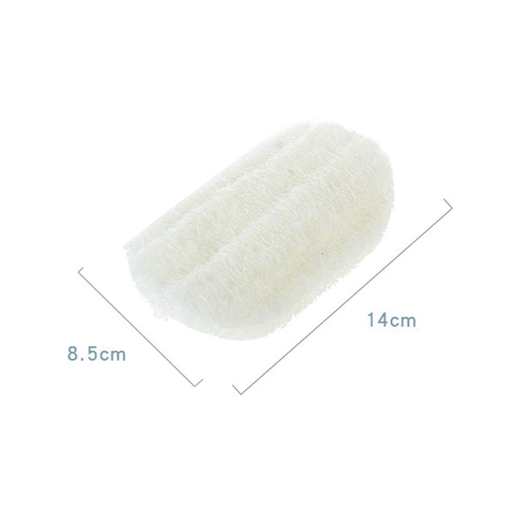 Natural Loofah Sponge for Kitchen - 100% Eco-Friendly Exfoliating Scrubber for Pots, Pans & Bowls | Durable Multi-Use Luffa Brush for Dishwashing & Cleaning | Perfect for Non-Stick Cookware & Delicate Dishes