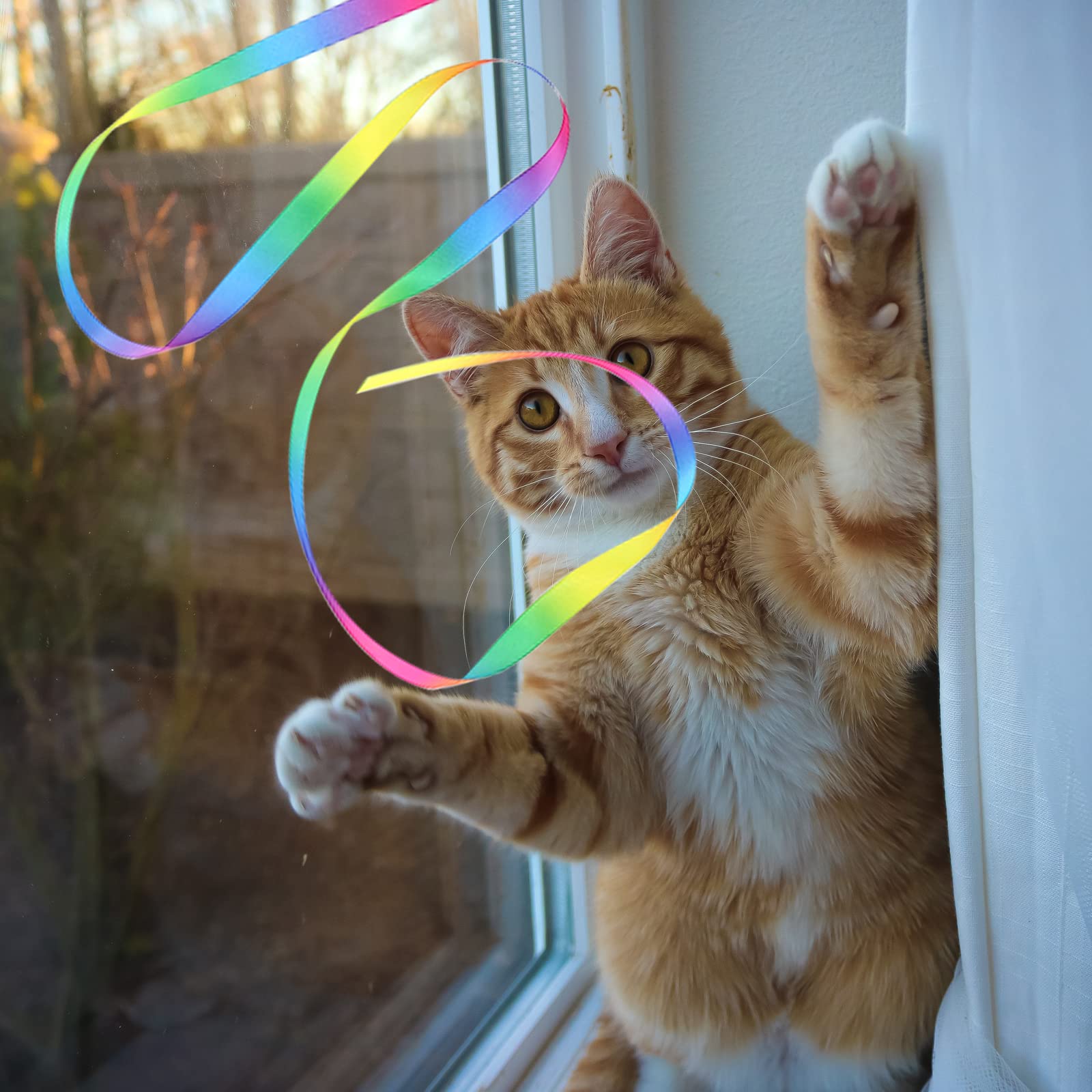 2 Pack Interactive Rainbow Cat Wand Toys with Ribbon - Colorful Kitten Teaser Wand for Indoor Play & Exercise, Strengthen Bond with Your Cat - Perfect for Training, Playtime & Interactive Fun