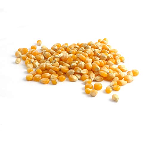 Organic Popcorn Kernels by Sabarot - 500g Non-GMO, Gluten-Free for Healthy Snacking, Movie Nights & Party Favors