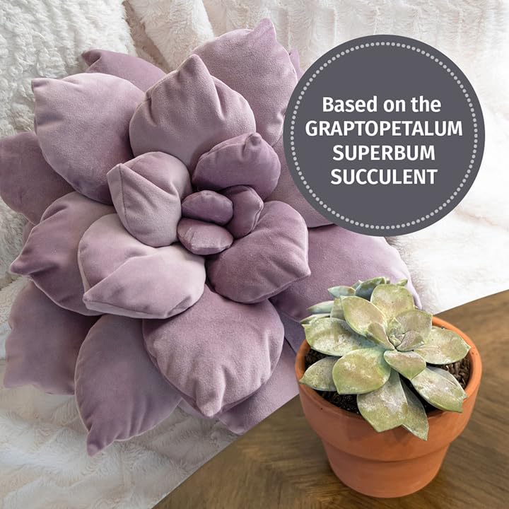 3D Large Succulent Pillow - 17