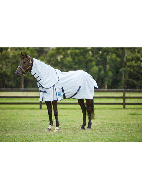 Weatherbeeta Kool Coat Classic Combo - Breathable Horse Blanket for Summer & Warm Weather - Ideal for Riding, Training & Stable Use