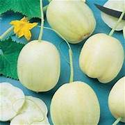 Premium Crystal Apple Cucumber Seeds for Home Garden - Non-GMO, High Yield, Easy to Grow - Perfect for Salads, Pickling & Fresh Snacking - $3.50