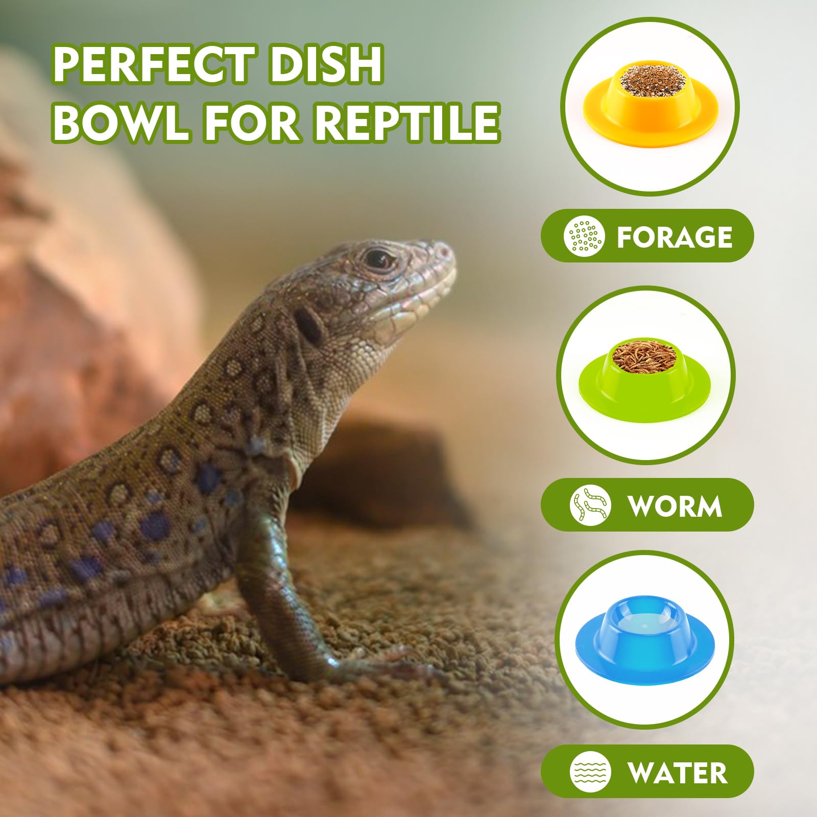 4PCS Gecko Lizard Food Bowls - Small Reptile Feeding Dish & Water Bowl Set - Durable Silicone Habitat Accessories for Hermit Crab, Bearded Dragon, Snake, Frog - Perfect for Terrariums & Reptile Enclosures