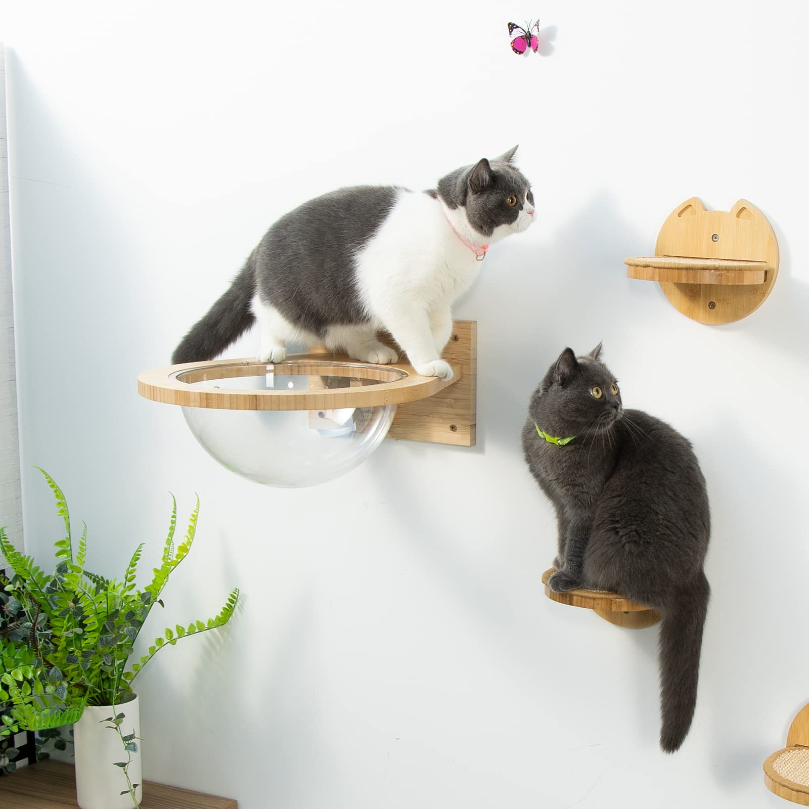 Yangbaga Wall Mounted Bamboo Cat Hammock - Durable Transparent Cat Bed & Furniture for Kittens & Adult Cats - Cat Wall Shelves for Sleeping & Resting (Cat Capsule) - Perfect for Small Spaces & Cat Lounging Areas
