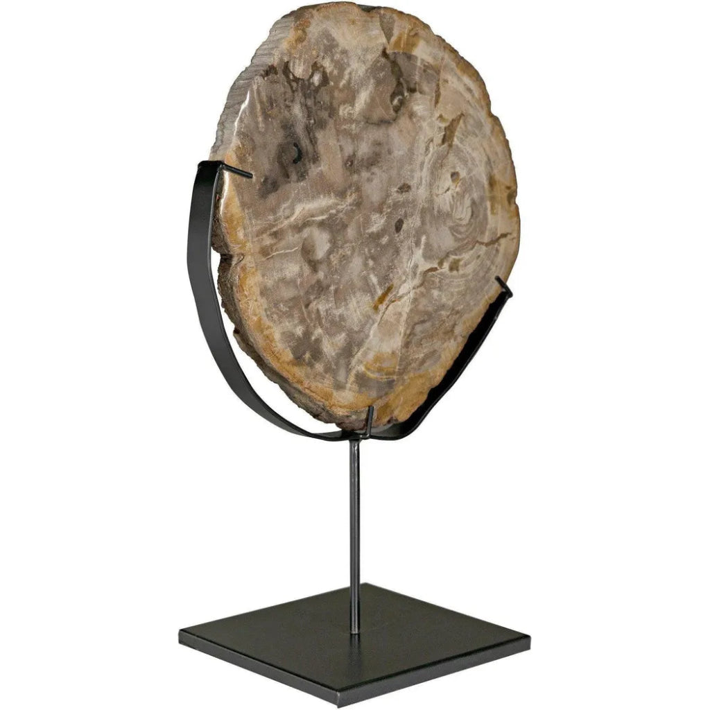 12 Pack Wood Fossil with Stand - Natural Stone Sculpture for Home Decor, Office Desk, and Gift Ideas