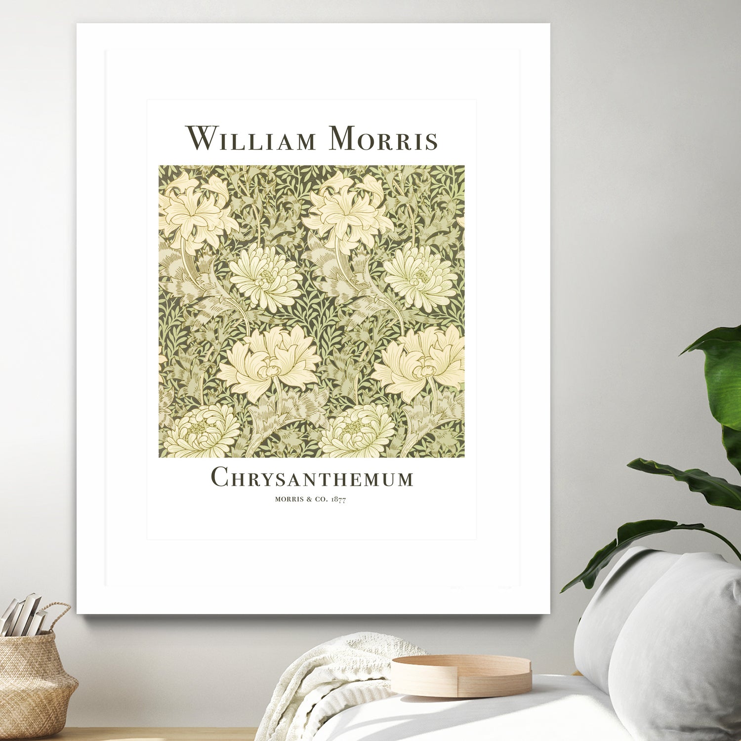 Premium Dried Chrysanthemum Flowers for Tea - Organic, Caffeine-Free Herbal Tea for Relaxation & Stress Relief - Perfect for Hot or Iced Tea, Gift Sets & Aromatherapy