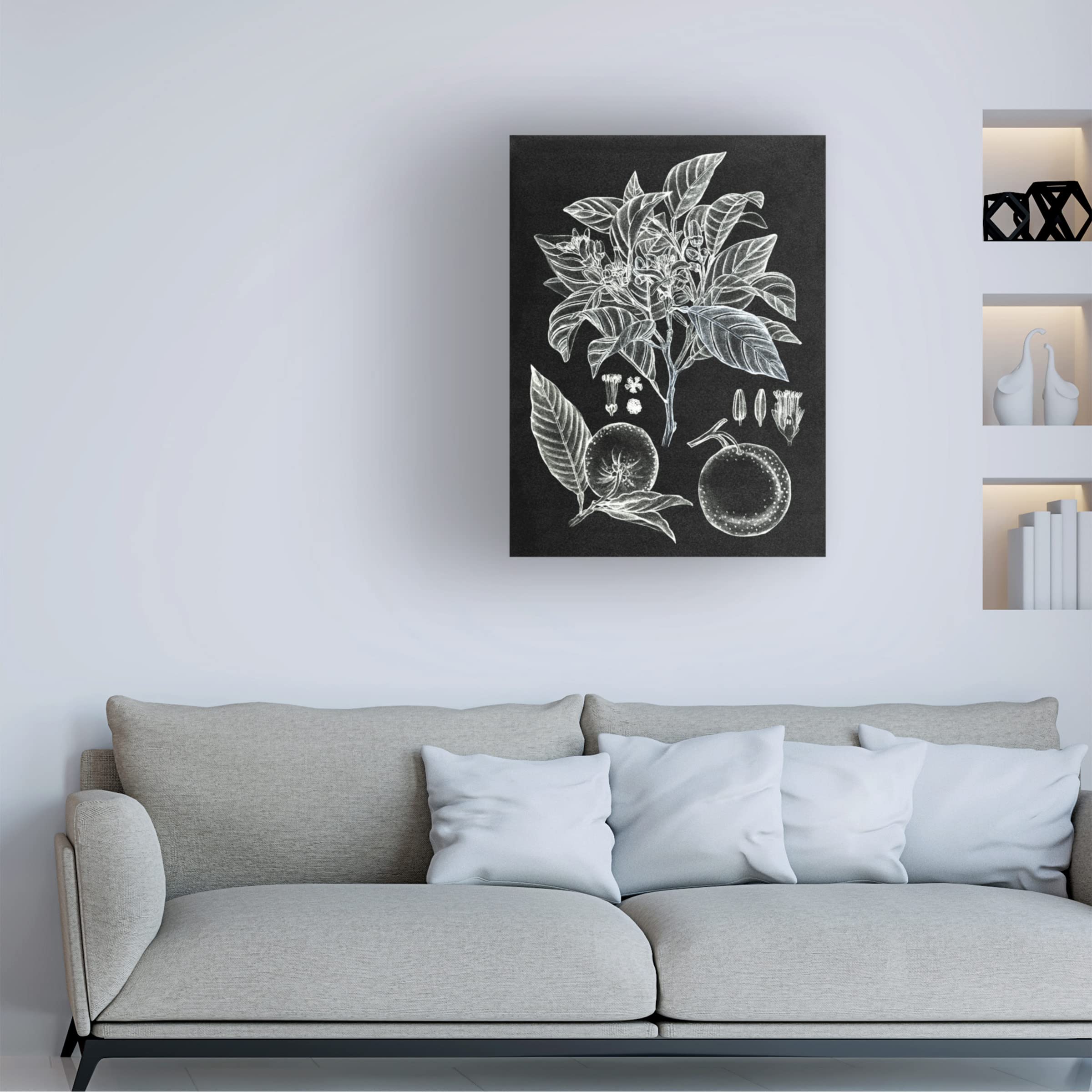 Trademark Fine Art 'Citrus Botanical Study II' Canvas Wall Art Print by Melissa Wang - Vibrant Kitchen Decor & Dining Room Wall Decor