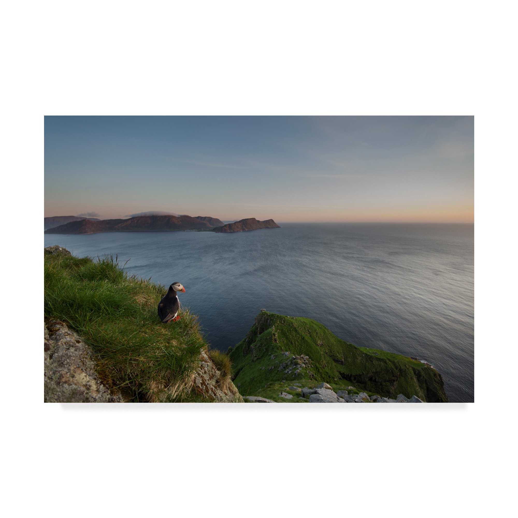 Trademark Fine Art Olaf Peterson Canvas Print - Vibrant Multicolor Wall Decor for Living Room, Bedroom & Office