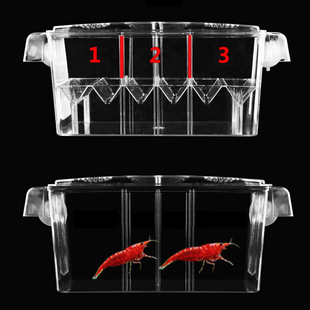4 Rooms HD Fish Breeding Box - Aquarium Breeder Box for Fish Tank, Double Hatching Incubator Isolation Box for Guppy, Betta, and Baby Fish Hatchery - Perfect for Home Aquariums and Fish Farms
