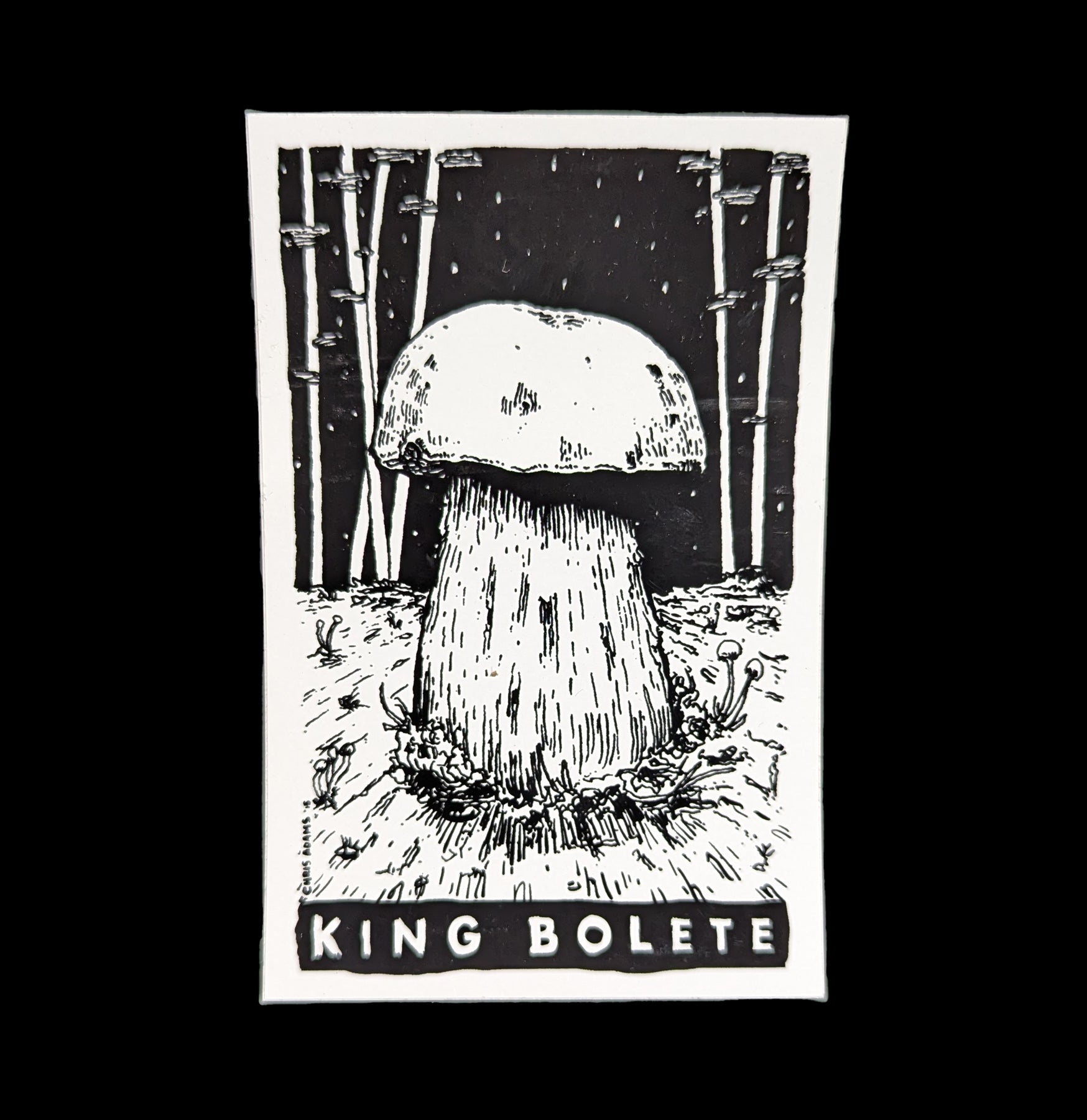 Sporelust King Bolete Mushroom Sticker - Waterproof Vinyl Decal for Laptop, Water Bottle & Outdoor Gear - Perfect for Nature Lovers & Mycologists