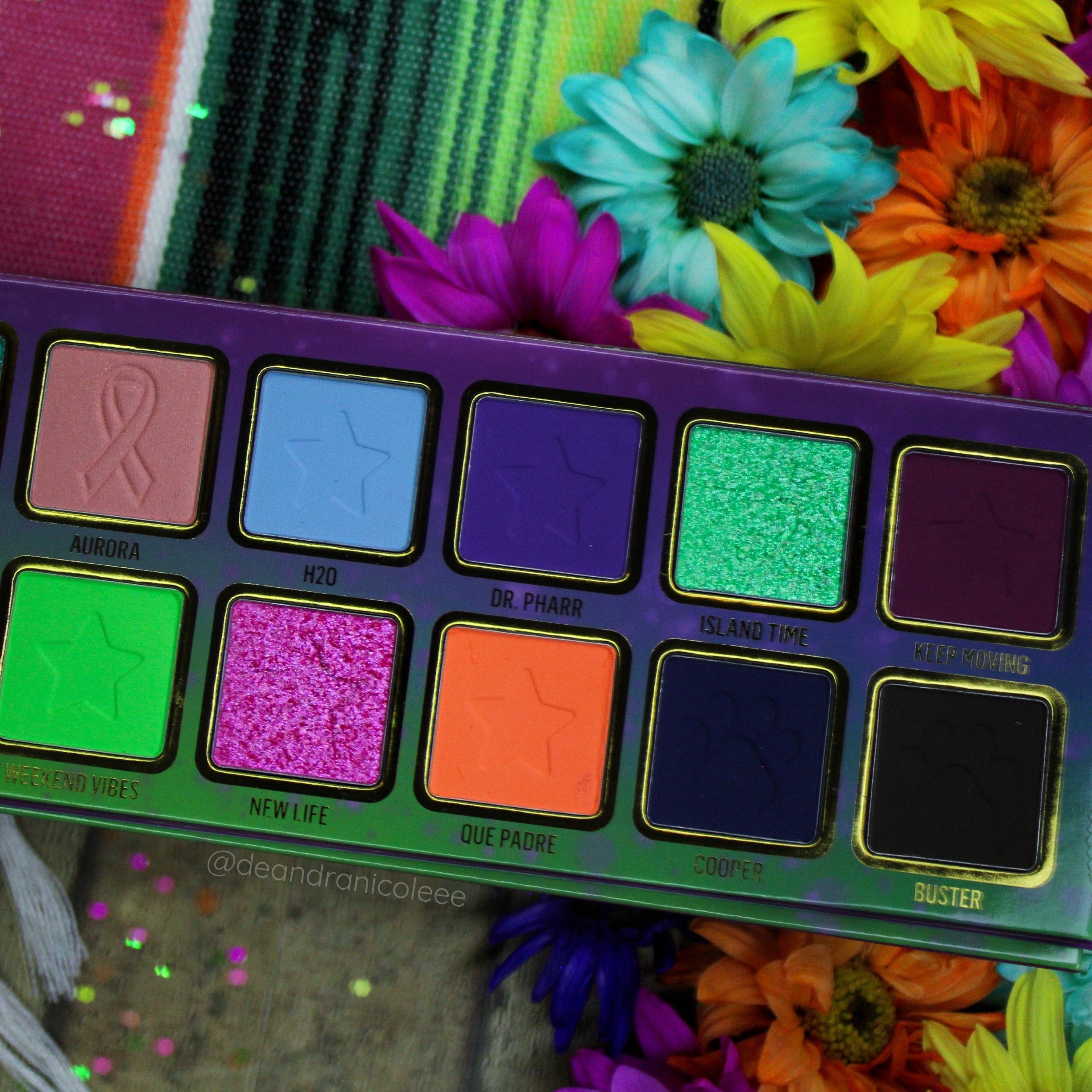 Nueva Vida x Steff's Beauty Stash Eyeshadow Palette - 18 Highly Pigmented Matte & Shimmer Eyeshadows for Professional Makeup | Perfect for Day to Night Looks, Bridal Makeup & Special Occasions