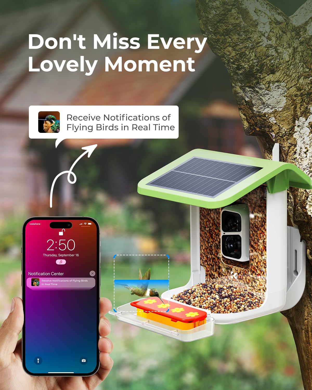 Smart Bird Feeder with Camera - 1080P HD AI Hummingbird Identification & Auto Video Capture, 2-in-1 Feeder Perch | Perfect for Backyard Bird Watching & Nature Photography