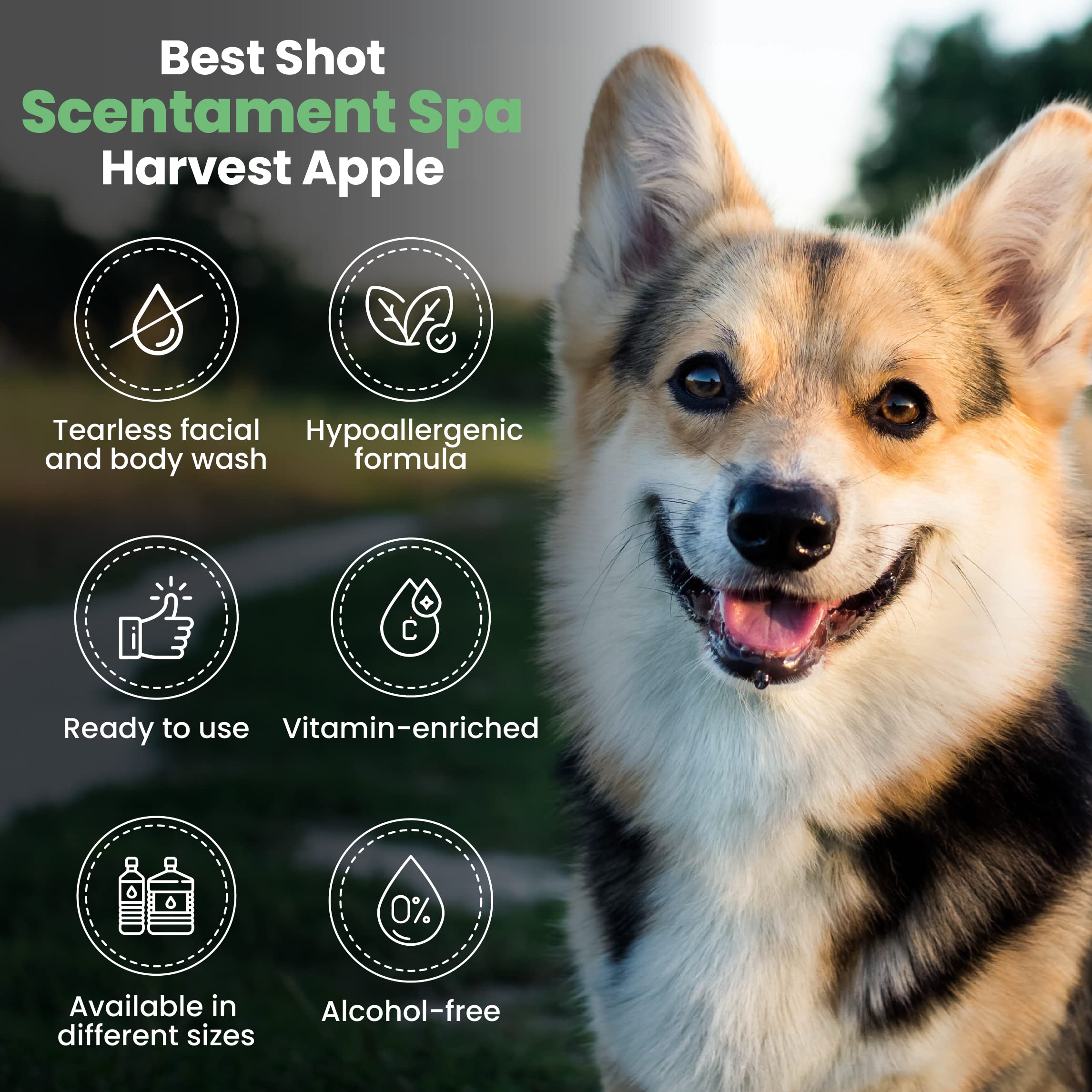 Best Shot Scentament Spa Seasonal Facial & Body Wash - Harvest Apple Scent, 1 Gallon | Hydrating Cleanser for Face & Body | Perfect for Spa Days, Seasonal Self-Care & Holiday Gifting
