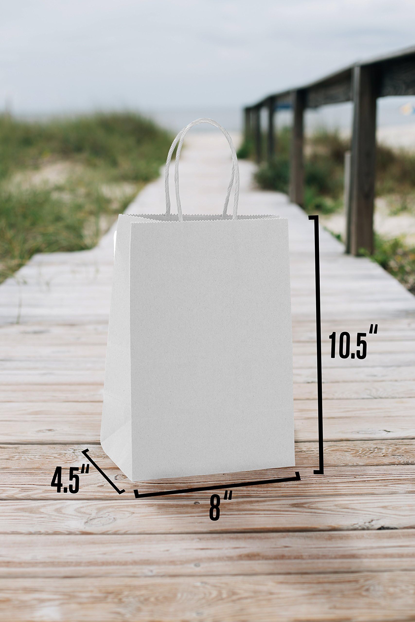 300 Pack White Paper Bags with Handles - 8x4.5x10.5 Inches Bulk Shopping Bags [3 Boxes of 100] | Eco-Friendly Gift, Party, Wedding & Retail Packaging Bags | Perfect for Stores, Events, Crafts & Merchandise Display