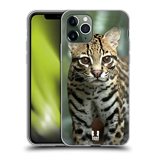 Closeup Of An Ocelot