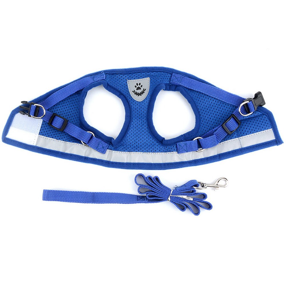 **Zunea No-Pull Reflective Adjustable Dog Harness & Leash Set - Soft Mesh Padded Step-in Vest for Small Dogs & Puppies - Escape-Proof Cat Harness for Walking - Blue (Ideal for Outdoor Adventures, Daily Walks & Pet Training)**