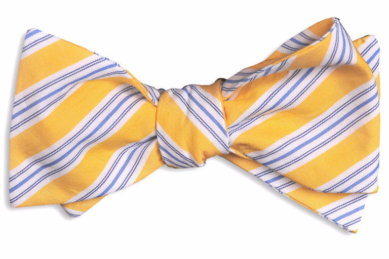 Elegant Seagull Stripe Bow Tie for Men - Classic Blue & White Striped Necktie for Weddings, Parties & Formal Events