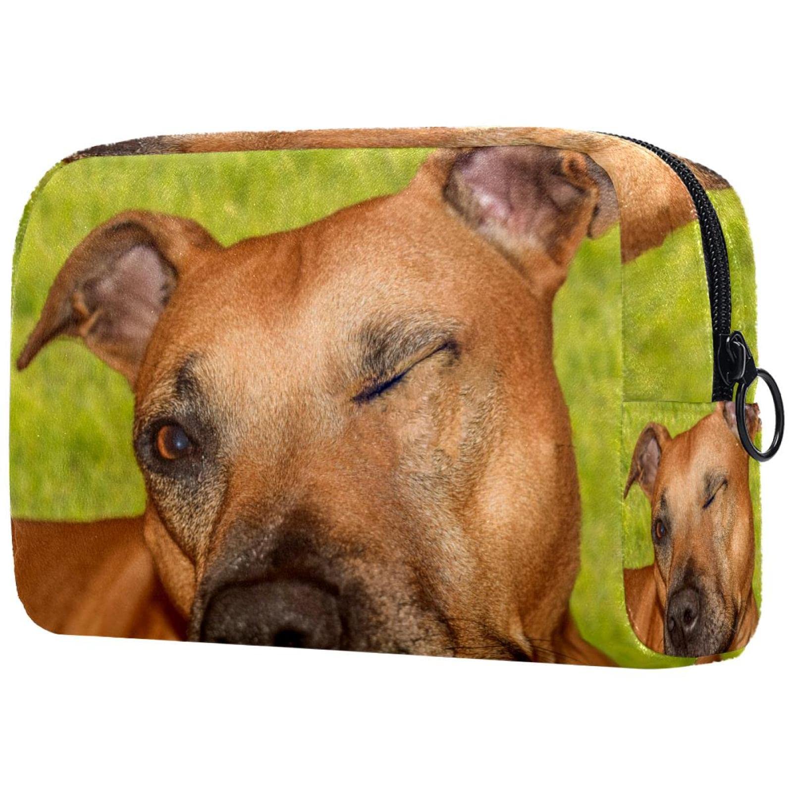 A Journey of Style and Convenience: The Rhodesian Ridgeback Adventure