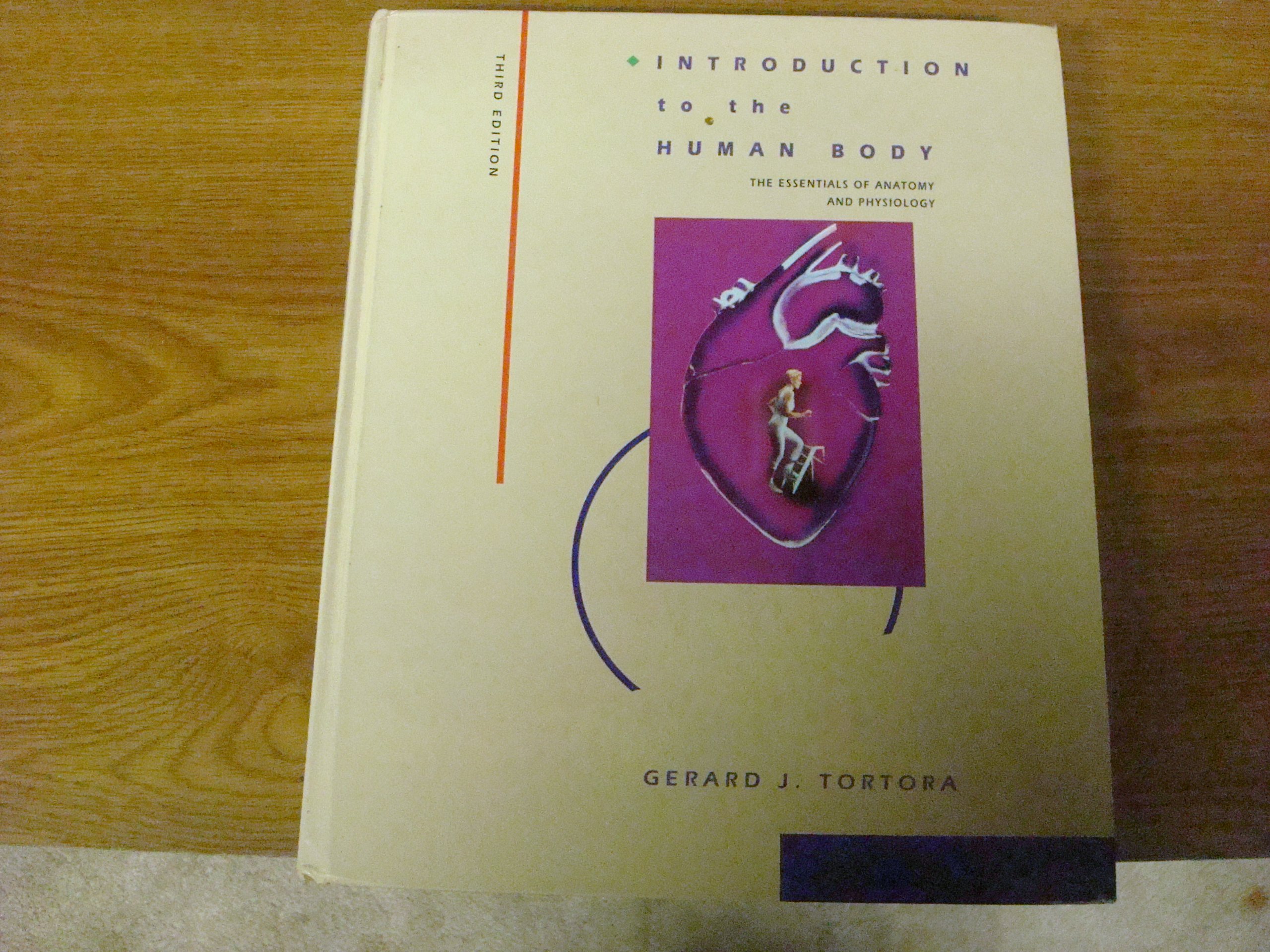 Introduction to the Human Body: The Essentials of Anatomy and Physiology - Perfect for Medical Students & Healthcare Professionals | Study Guide for Human Biology & Health Science Classes