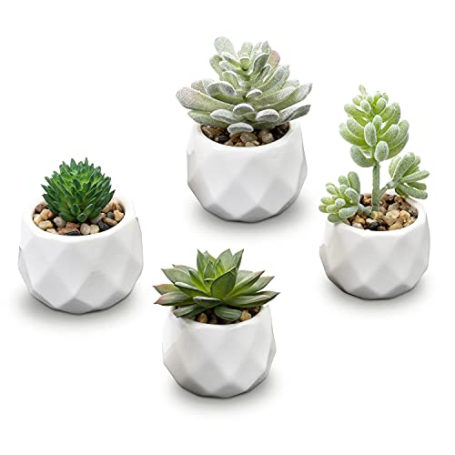 Multifaceted Pot