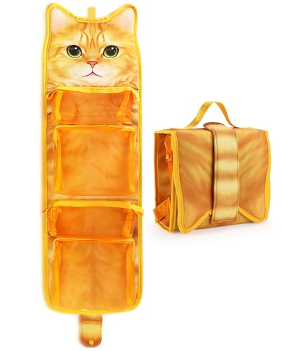 orange cat