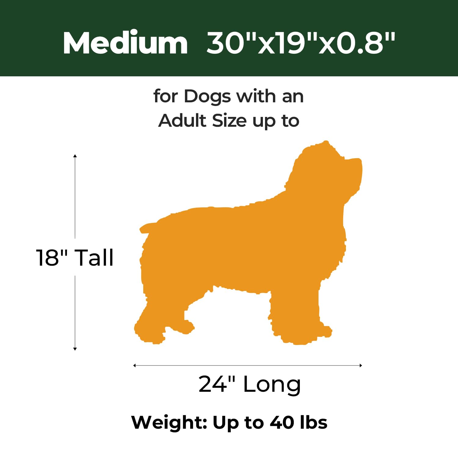 BALANCE Dog Crate Pad - Washable Water-Resistant Foam Kennel Mat for Medium Dogs | Comfortable Pet Bed for Crate Training, Travel & Home Use