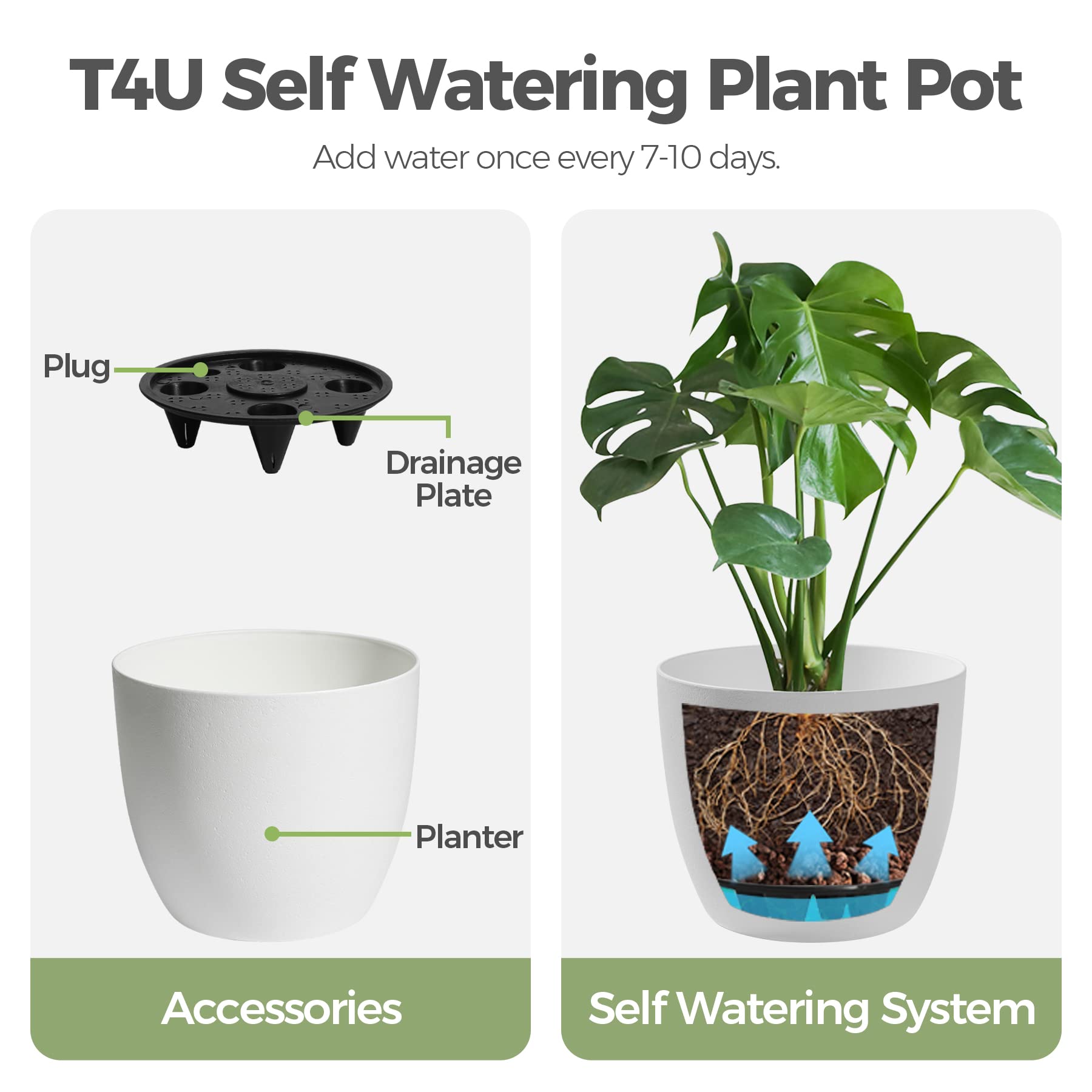 6 Inch Self Watering Planters - Set of 6 Modern White Plastic Flower Pots for Indoor Plants, Herbs, Succulents & African Violets | Decorative Window Box Planter for Home, Office & Garden Decor