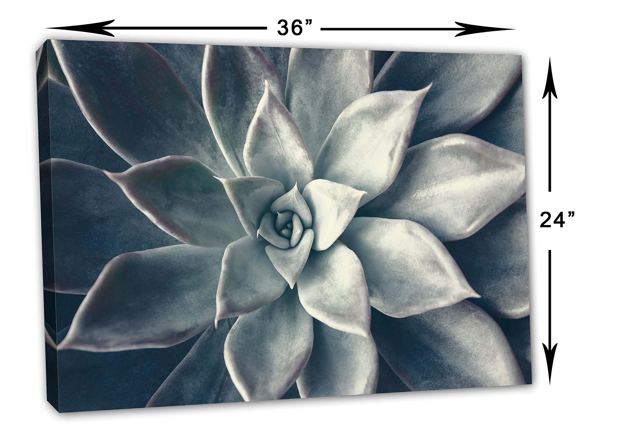 36