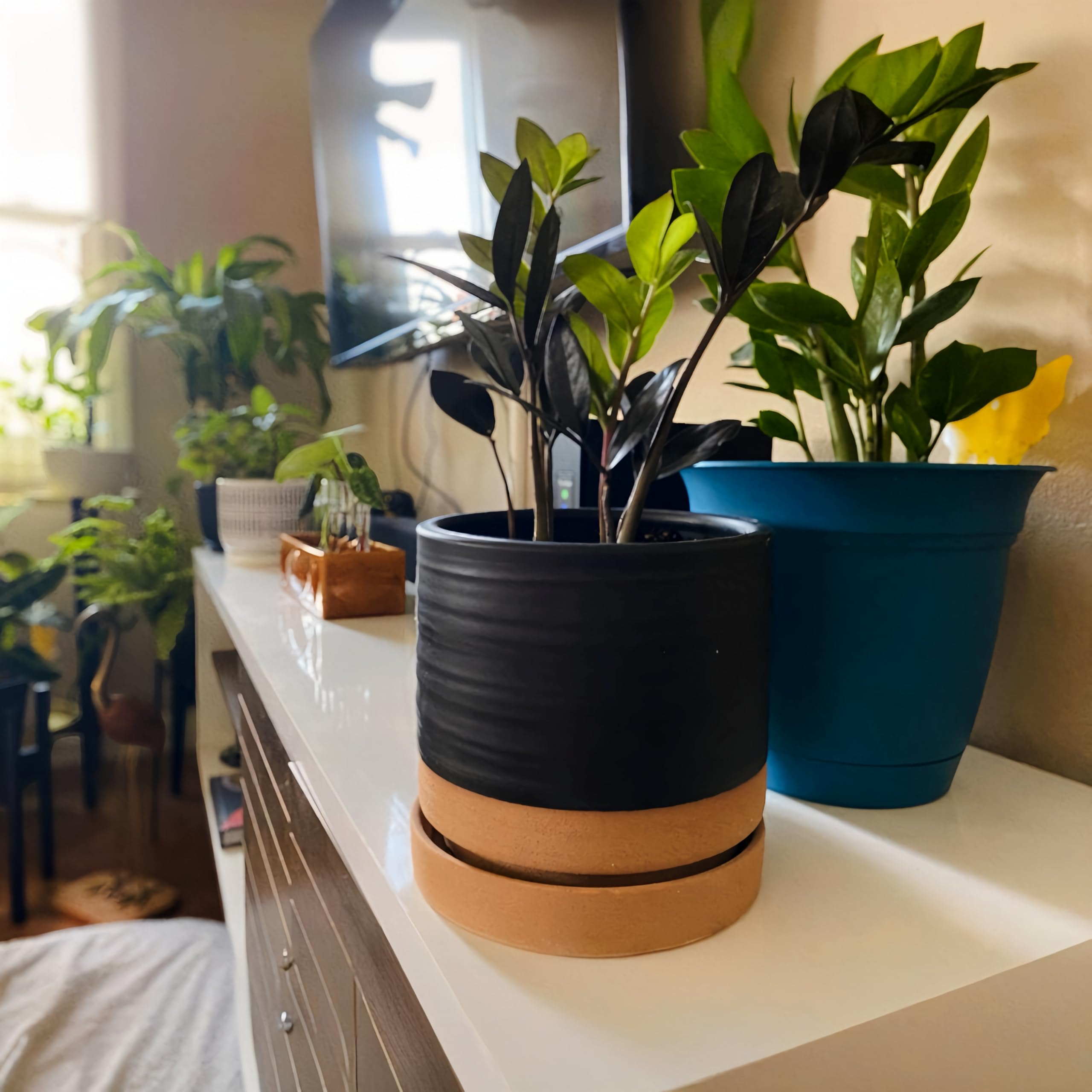 6 Inch Ceramic Plant Pots with Drainage Hole & Saucer - Indoor/Outdoor Cylinder Round Planter for Succulents, Herbs, Flowers - Matte Black & Brown Modern Home & Garden Decor