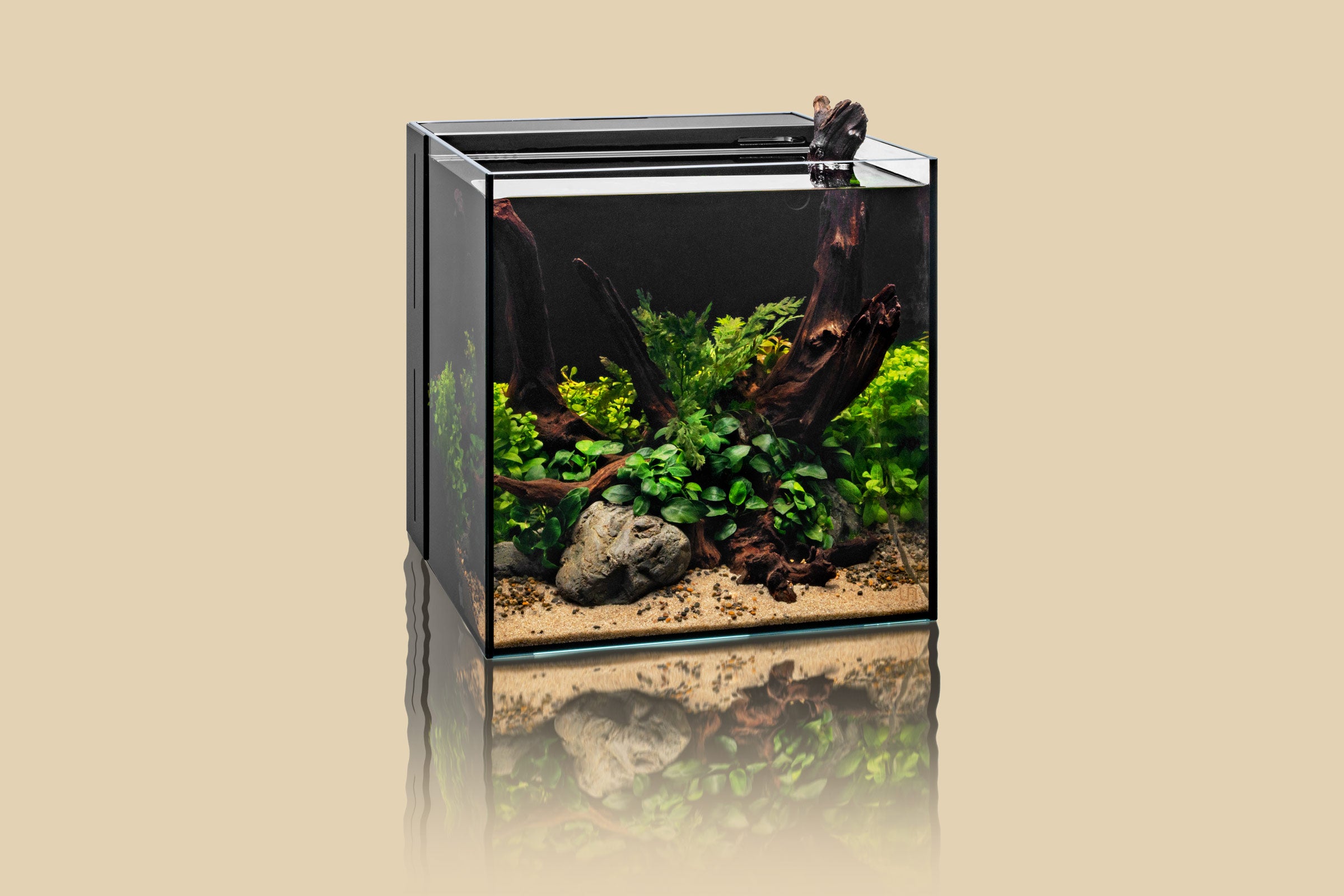 Premium UNS Dual All-in-One Glass Aquarium Tank - 5 Gallon Nano Fish Tank with Built-in Filtration System - Perfect for Home, Office, or Classroom Aquascaping and Small Fish Keeping