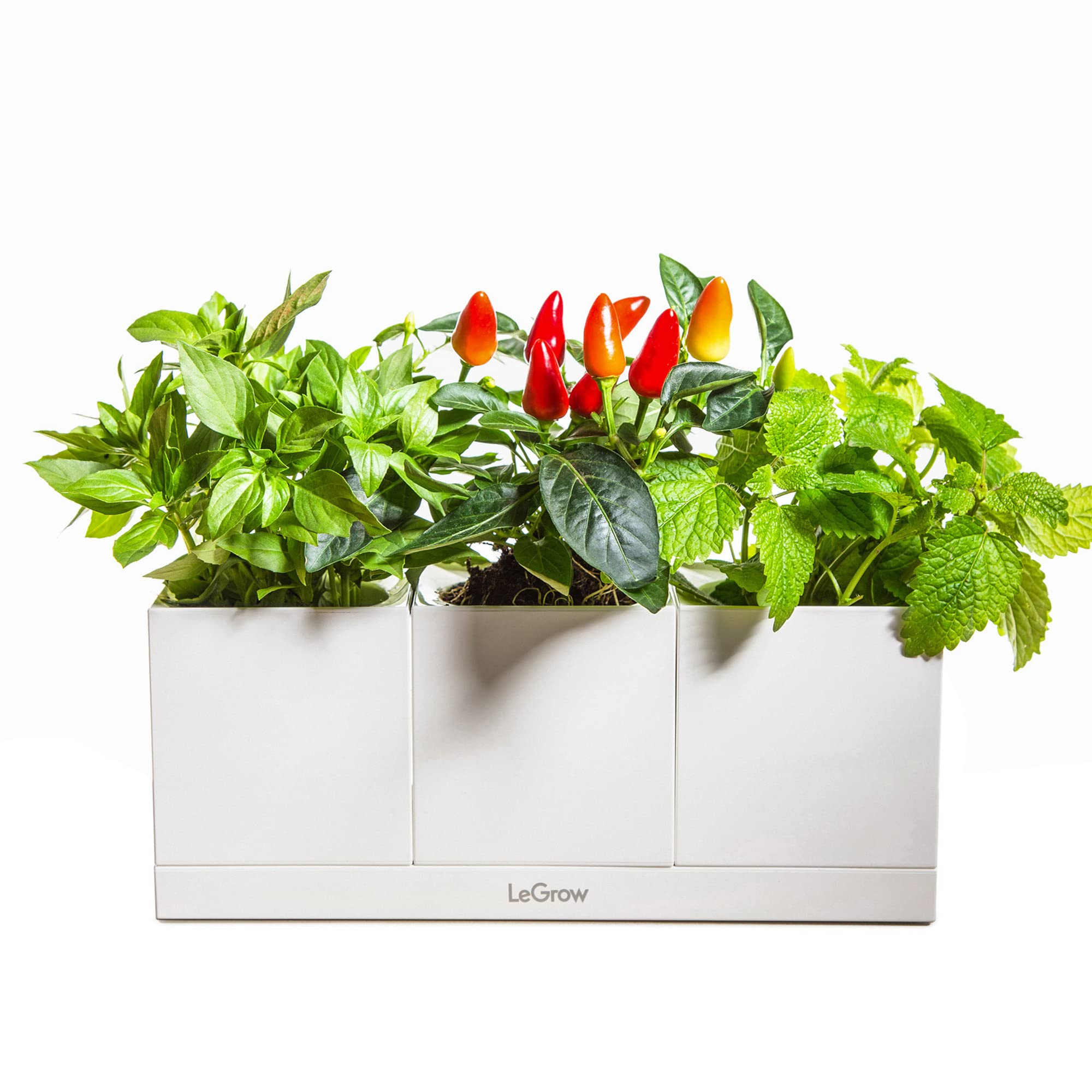 LeGrow Smart Garden Indoor Planter Starter Kit - 3 Patented Design Self-Watering Plant Pots with Water Holding Base Tray for Herbs, Flowers & Vegetables - Perfect for Home, Office & Kitchen Gardening (Plants Not Included)