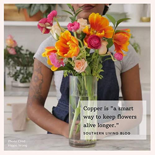 Fresh Cut Flower Food - Alternative to Flower Food Packets | Keeps Flower Water Clean & Clear with Copper Charm | Perfect for Vases, Bouquets, and Floral Arrangements