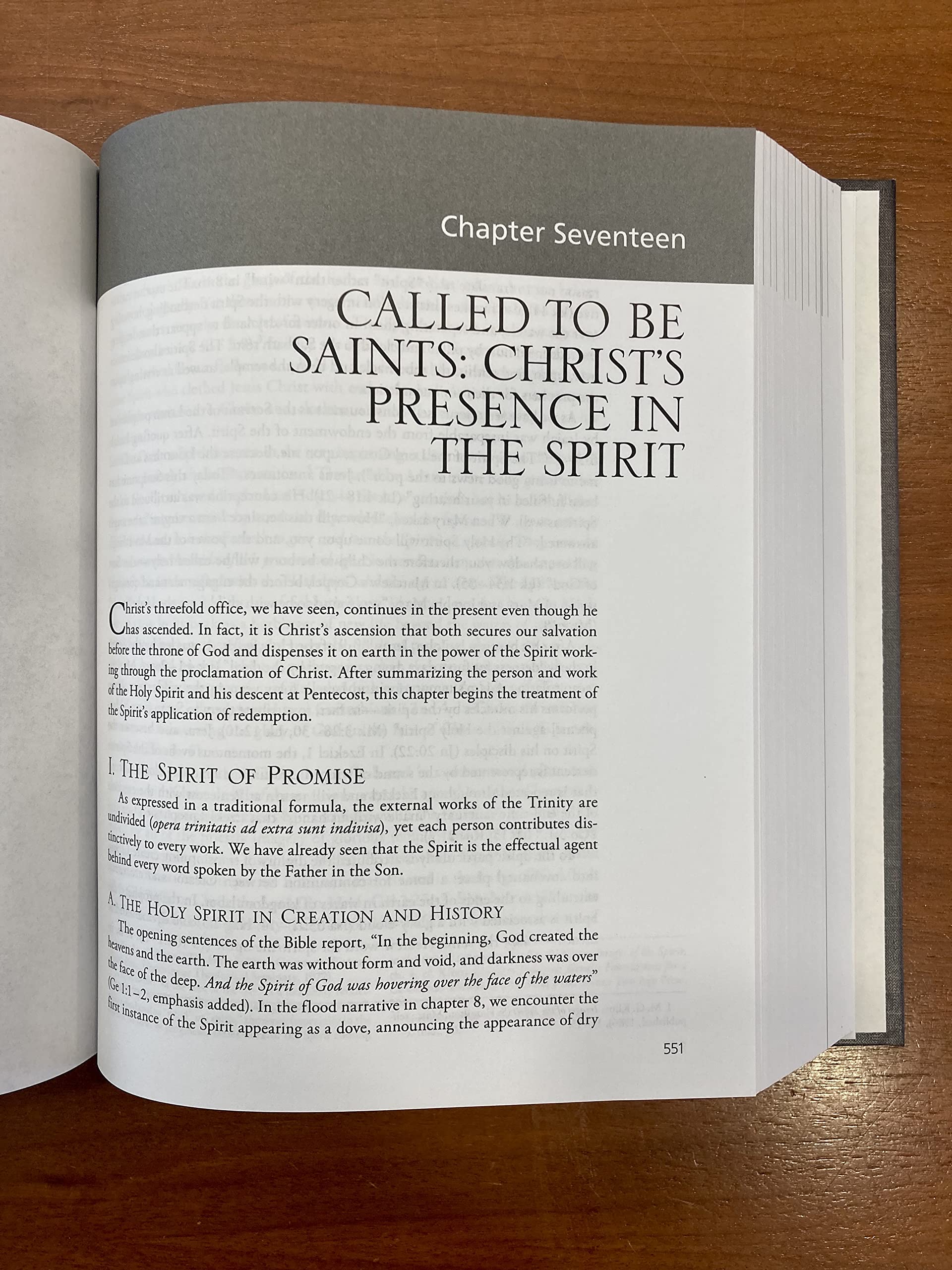 The Christian Faith: A Systematic Theology for Pilgrims on the Way - Perfect for Bible Study, Seminary Courses & Spiritual Growth