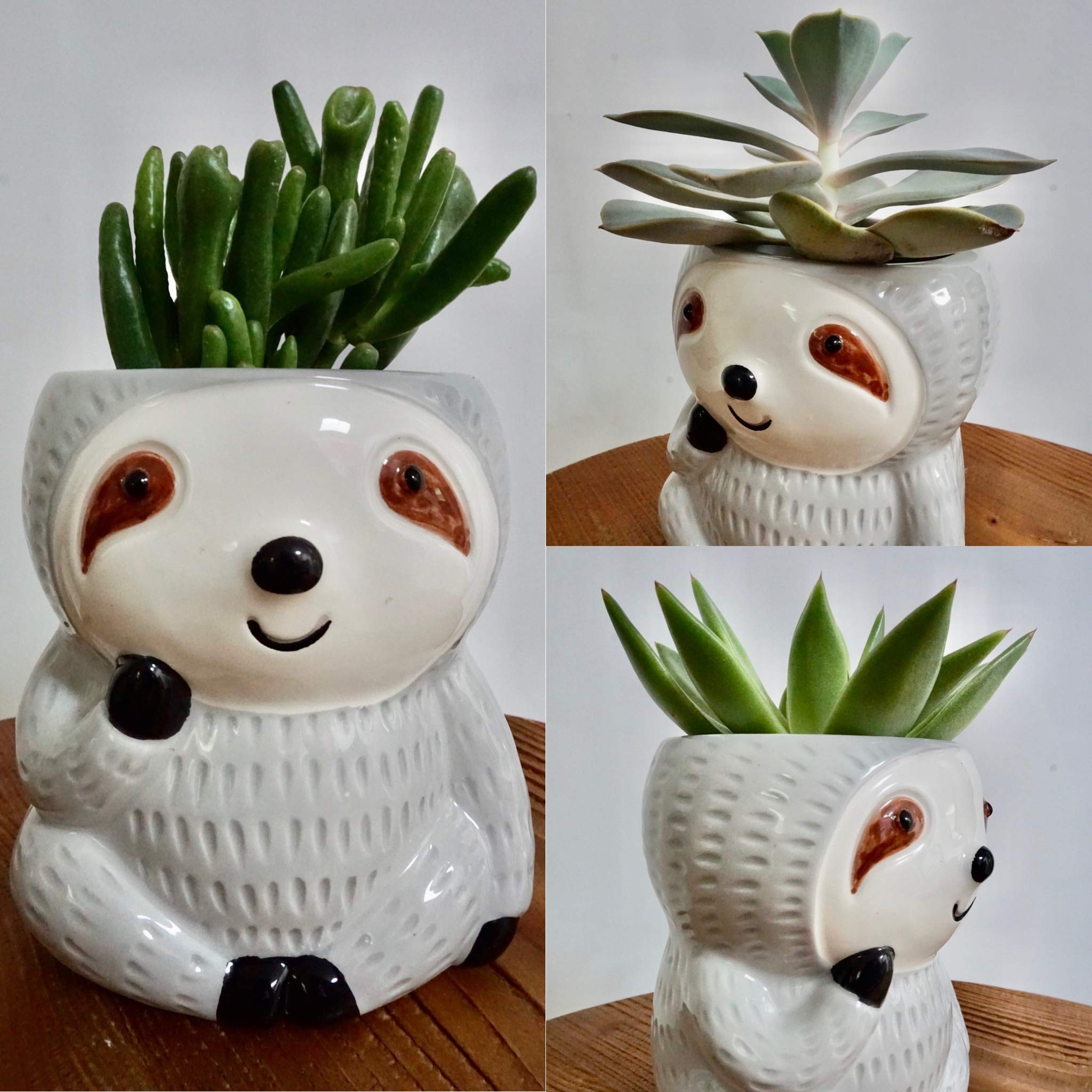 Cute Sloth Planter Pot - Animal Shaped Container for Succulents, Air Plants & Flowers | Perfect Hostess Gift & Unique Indoor Decor for Home, Office, or Garden | Fun Sloth-Themed Head Planter for Plant Lovers