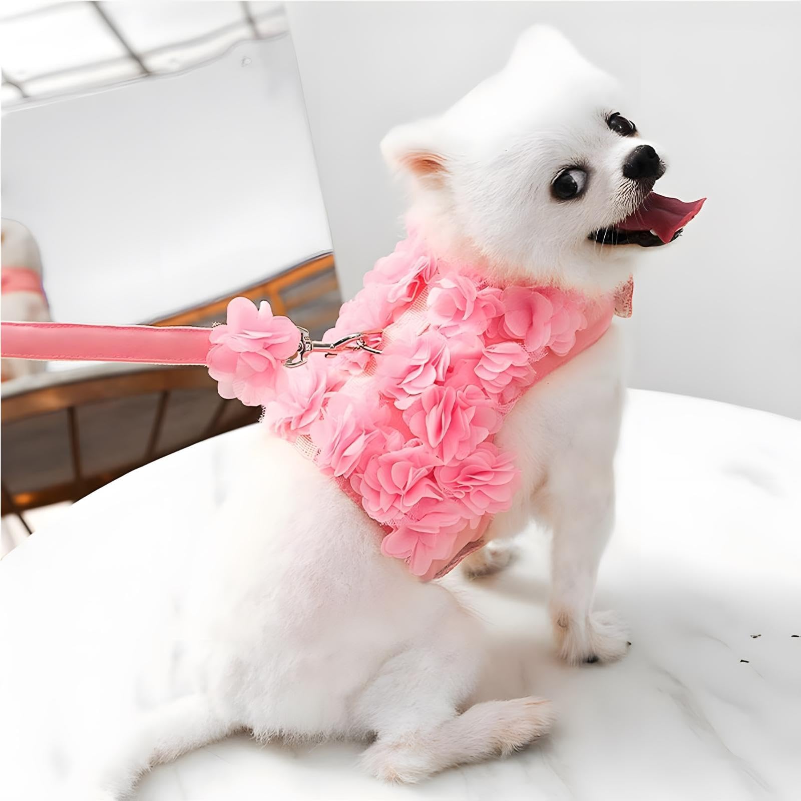 Escape-Proof Small Dog Harness & Leash Set - Soft Mesh Flower Puppy Vest for Small Dogs & Cats (Pink & Multicolor) | Perfect for Walks, Training & Outdoor Adventures