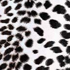 Snow Leopard Skin