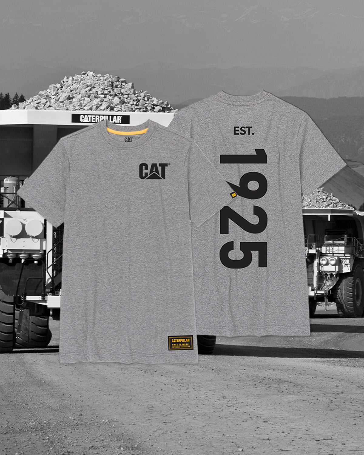 Vintage Women's EST. 1925 Centennial T-Shirt - Retro Graphic Tee for Casual Wear & Anniversary Celebrations