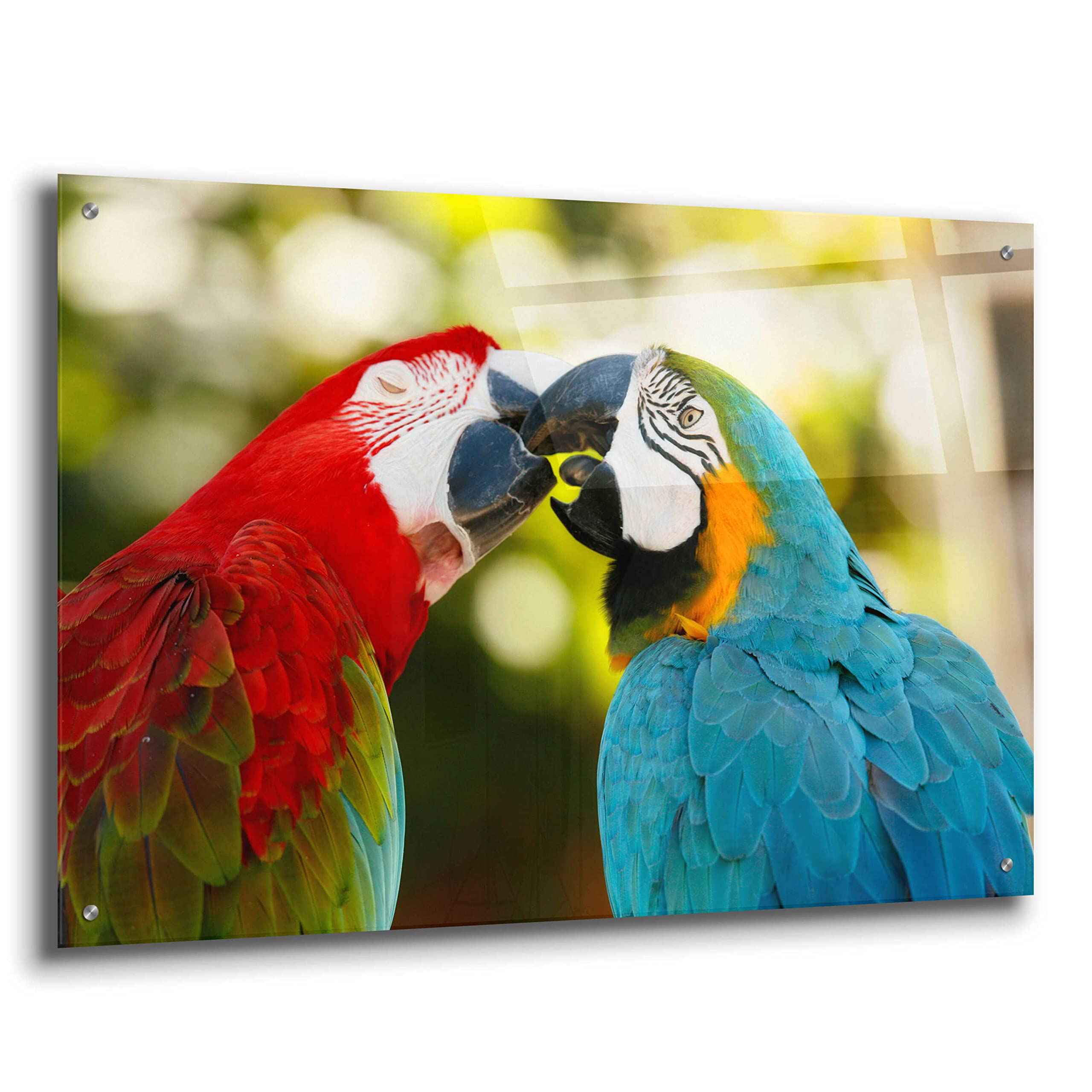 Epic Art 'The Kiss' by Mike Jones - Premium Acrylic Glass Wall Painting - 36x24 Inches - Romantic Home Decor for Living Room, Bedroom & Office